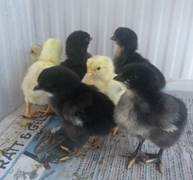 IMG_20180522_173320178